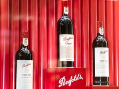 -深圳湾万象城(南山店)