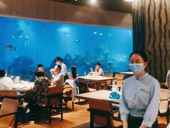 大堂-海棠湾洲际-涛·海底餐厅·美人鱼·自助餐·海底隧道