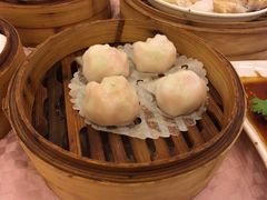 -满福隆酒楼(万绿园店)