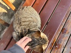 -终南山南五台景区