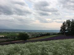 -富田农场