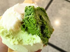 -鹤茶野所(上海首店)