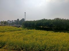 -光明小镇欢乐田园