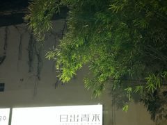 -日出青木·杭帮菜名店