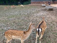 -济南野生动物世界