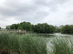 -新江湾城公园