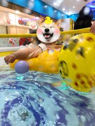 -AIBBY亲子水育中心(盐城宝龙店)