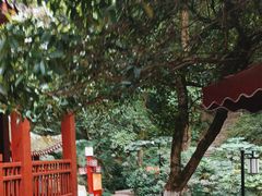 -岳麓山风景名胜区