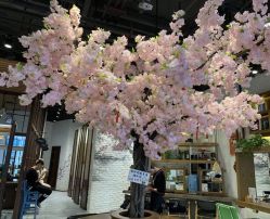 -简影造型·自选烫染接发salon