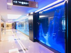 -王家渡火锅(金宝汇店)