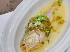 -新光酒家·河豚·海鲜·蟹料理(浦东店)