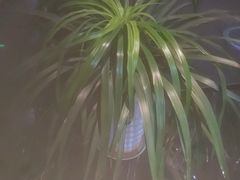 -唐宫足道·SPA·住宿24H会所(木渎店)
