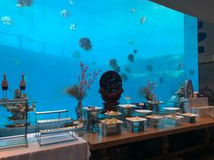 -瑞德姆美人鱼海底演艺主题餐厅(亚龙湾店)