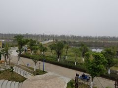 -芒洲湿地公园
