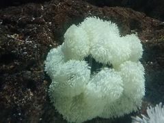 -苏州海洋馆
