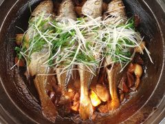 -有喜胶东小馆(太申祥和店)
