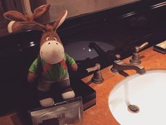 -澳门喜来登大酒店