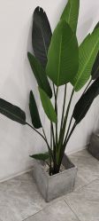 -D.z Salon 无痕接发潮店