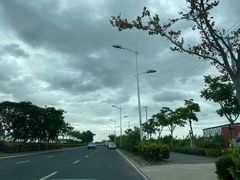 -春花秋色城市公园