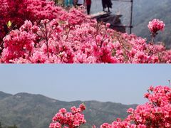 -木兰云雾山