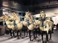 -秦始皇帝陵博物院-丽山园