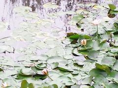 android_upload_pic-宁波九龙湖开元度假村