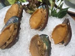 手工冰镇鲍鱼-木棉·醉心粤味(COCO Park店)