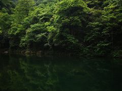 -白云源风景区