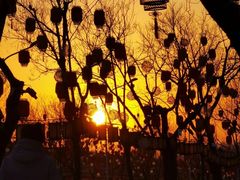 -龙湖星悦荟(颐和店)