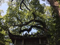 -蒋氏故居
