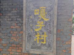 -白洋淀景区
