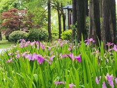 -狼山风景名胜区