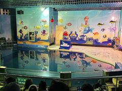 -太平洋海底世界