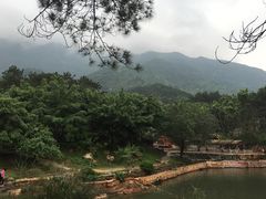 -牛鱼嘴原始生态风景区