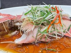 -骏莱海鲜鱼港(五角场店)