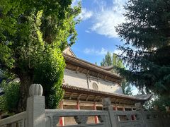 -张掖大佛寺景区