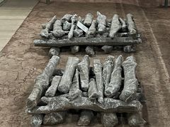 -南越王博物院(王宫展区)