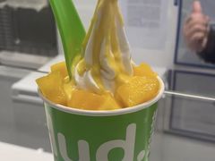 -Salud撒露欧洲冻酸奶(北苑上品店)