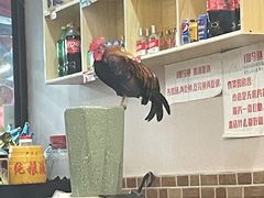 -重庆何乌鱼(南湖逸家店)