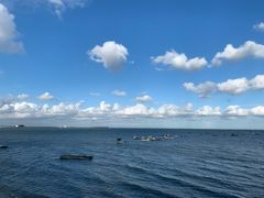 -北海金海湾红树林生态旅游区