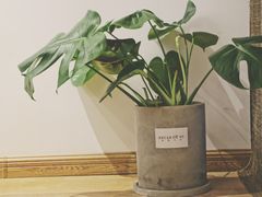 -面包与我Bread Or Me(长城汇店)