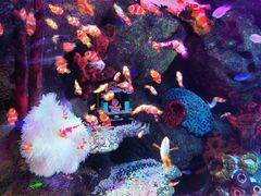 -沈阳海洋探索中心