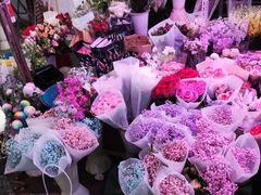 -花鸟鱼虫鲜花绿植市场(玉泉路店)