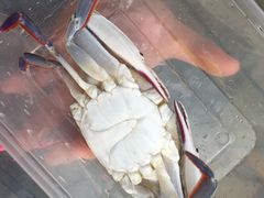 iphone_upload_pic-三亚海韵度假酒店·渔人码头海鲜火锅BBQ自助餐厅·落日吧