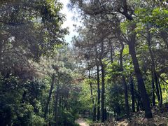 -虞山风景区
