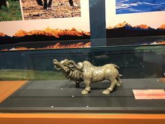 -迪庆藏族自治州博物馆