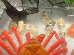 -Mr.Fish鱼鲜生海鲜放题(高德置地冬广场店)