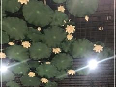-福慧慈缘素食餐厅(王府井店)