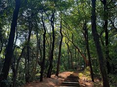 -九曜山