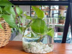 -大快乐牛排咖啡馆·本地西餐厅(南溪钻石城店)